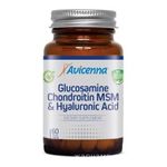 Avicenna, Глюкозамин-Хондроитин-MSM, таблетки, 60 шт.