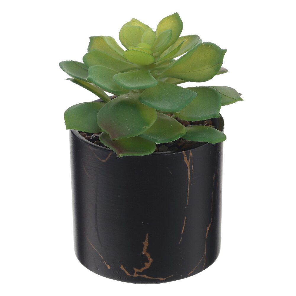Растение искусственное Суккулент, в черном кашпо, узор мрамор, 11х11х14см