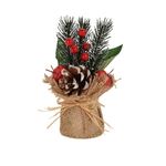 Растение в горшке из джута рождественская композиция, 5,5х5,5х16,5см, в ассортименте