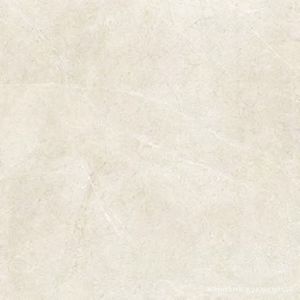 PORCELANOSA SADDLE CALIZA L 120х120 G-392