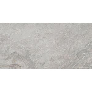 PORCELANOSA IMAGE SILVER 40х80х1.05 G-349