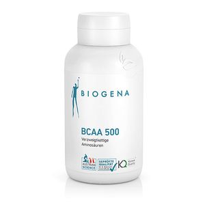 Аминокислоты BCAA 500